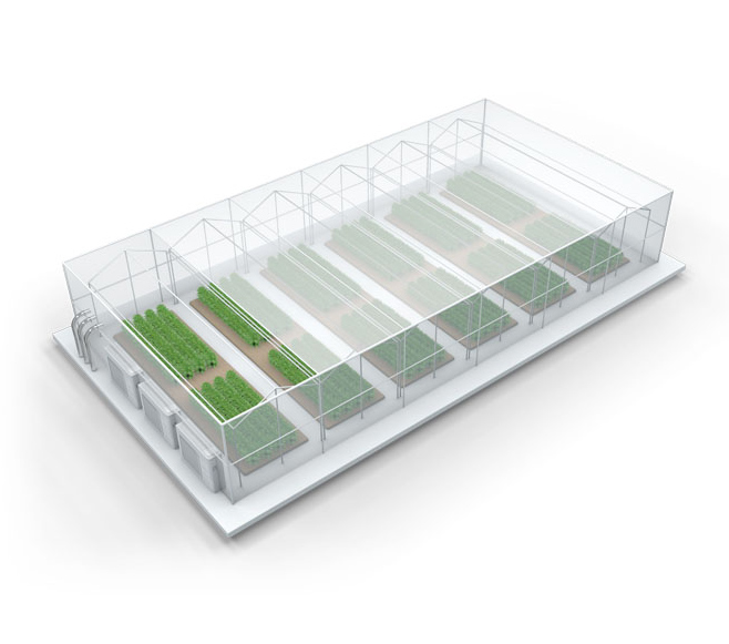 Intelligent greenhouse